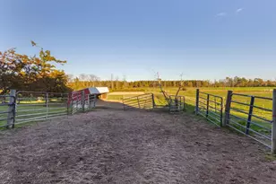 W4769 Million Dollar Rd, Menominee, MI 49858 - Photo 43