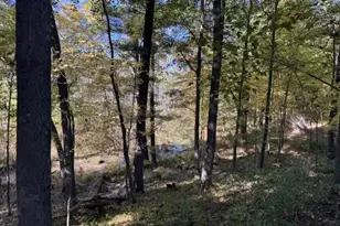 N3425 County Road Q, Waupaca, WI 54981 - Photo 75