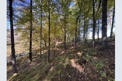 N3425 County Road Q, Waupaca, WI 54981 - Photo 77