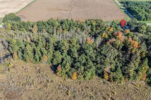 N3425 County Road Q, Waupaca, WI 54981 - Photo 65