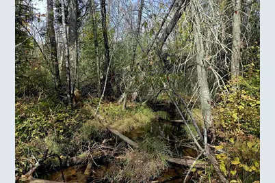 N17755 Lily Lake Road, Dunbar, WI 54119 - Photo 19