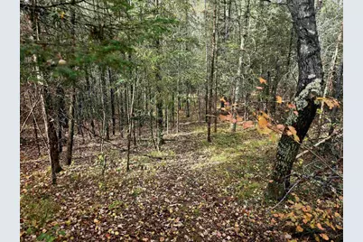 N17755 Lily Lake Road, Dunbar, WI 54119 - Photo 15