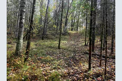 N17755 Lily Lake Road, Dunbar, WI 54119 - Photo 17