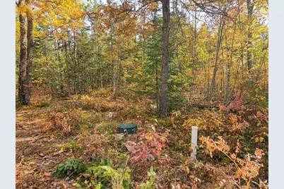 W10976 Woods Road, Dunbar, WI 54119 - Photo 5
