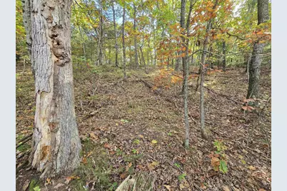 W2310 Witz Way, Neshkoro, WI 54960 - Photo 21