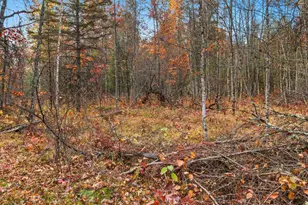 N13071 Tower Rd, Silver Cliff, WI 54104 - Photo 49