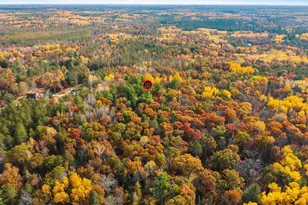N13071 Tower Rd, Silver Cliff, WI 54104 - Photo 39