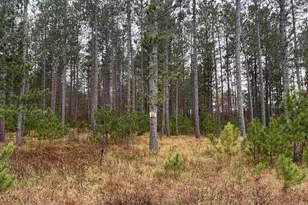 Trout Haven Rd, Dunbar, WI 54119 - Photo 1