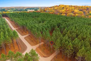Charlie Trail, Wausaukee, WI 54177 - Photo 1