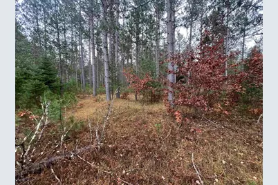 Trout Haven Road, Dunbar, WI 54119 - Photo 3