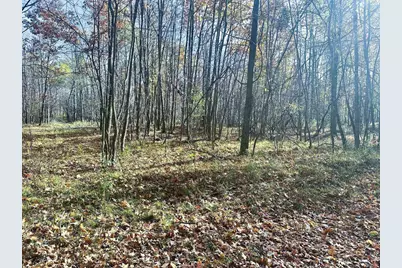 School Forest Lane, Crivitz, WI 54114 - Photo 7