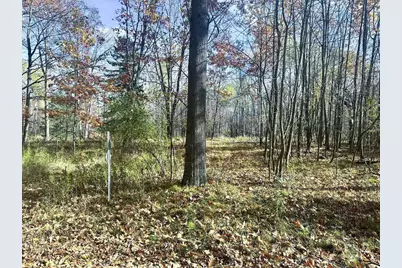 School Forest Lane, Crivitz, WI 54114 - Photo 13