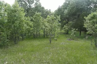 N8621 5th Rd, Westfield, WI 53964 - Photo 43