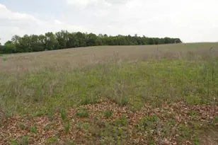 N8621 5th Rd, Westfield, WI 53964 - Photo 41