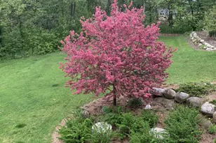 3811 Riege Ln, Deerfield, WI 53531 - Photo 57