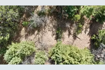 1199 Fawn Drive, Grand Marsh, WI 53936 - Photo 7