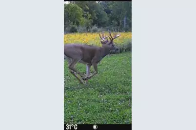 W7181 Duck Creek Avenue, Westfield, WI 53964 - Photo 85