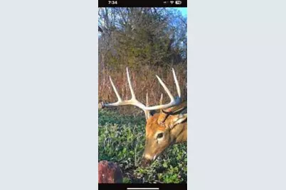 W7181 Duck Creek Avenue, Westfield, WI 53964 - Photo 87