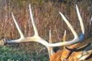 W7181 Duck Creek Ave, Westfield, WI 53964 - Photo 87