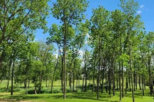 301 Edenview Ln, Eden, WI 53019 - Photo 7