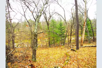 2482 Wilderness Trail, Friendship, WI 53934 - Photo 9