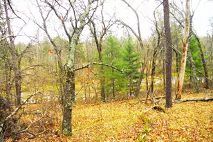 2482 Wilderness Trail, Friendship, WI 53934 - Photo 9