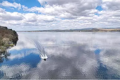 W11549 Island View Court, Lodi, WI 53555 - Photo 43