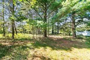 412 W Chestnut St, Pardeeville, WI 53954 - Photo 43