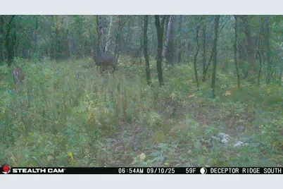 17511 Havenwood Rd Road, Sparta, WI 54656 - Photo 49