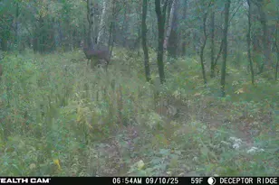 17511 Havenwood Rd Rd, Sparta, WI 54656 - Photo 49