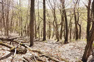 17511 Havenwood Rd Rd, Sparta, WI 54656 - Photo 33