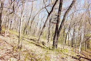 17511 Havenwood Rd Rd, Sparta, WI 54656 - Photo 35