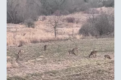 1140 Reese Trail, Waunakee, WI 53597 - Photo 5