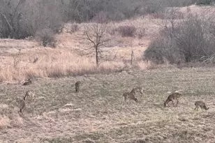 1140 Reese Trl, Waunakee, WI 53597 - Photo 5