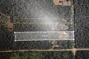 3395 8th Ave, Wisconsin Dells, WI 53965 - Photo 3