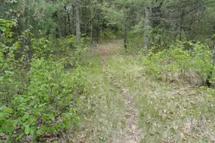 3395 8th Ave, Wisconsin Dells, WI 53965 - Photo 87