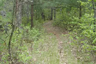 3395 8th Ave, Wisconsin Dells, WI 53965 - Photo 85