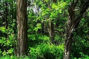 1129 Ember Dr, Adams, WI 53910 - Photo 21