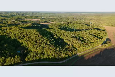 3824 County Hwy E, Warrens,warrens, WI 54666 - Photo 45