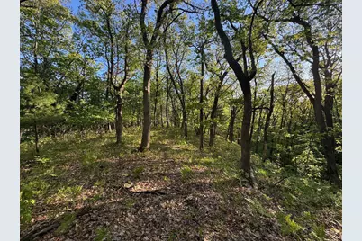 3824 County Hwy E, Warrens,warrens, WI 54666 - Photo 57
