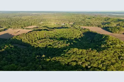 3824 County Hwy E, Warrens,warrens, WI 54666 - Photo 47