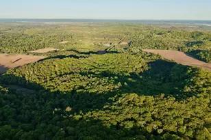 3824 County Hwy E, Warrens,warrens, WI 54666 - Photo 47