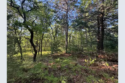 3824 County Hwy E, Warrens,warrens, WI 54666 - Photo 65