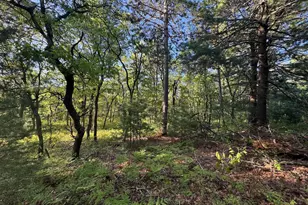 3824 County Hwy E, Warrens,warrens, WI 54666 - Photo 65