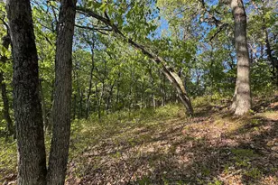 3824 County Hwy E, Warrens,warrens, WI 54666 - Photo 61