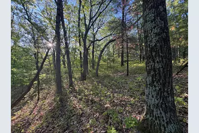3824 County Hwy E, Warrens,warrens, WI 54666 - Photo 59
