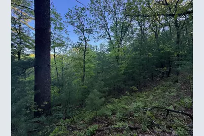 3824 County Hwy E, Warrens,warrens, WI 54666 - Photo 63