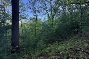 3824 County Hwy E, Warrens,warrens, WI 54666 - Photo 63