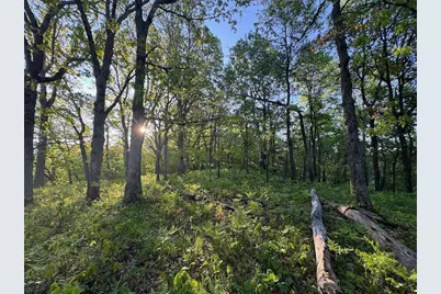 3824 County Hwy E, Warrens,warrens, WI 54666 - Photo 53