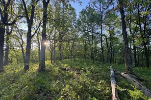 3824 County Hwy E, Warrens,warrens, WI 54666 - Photo 53